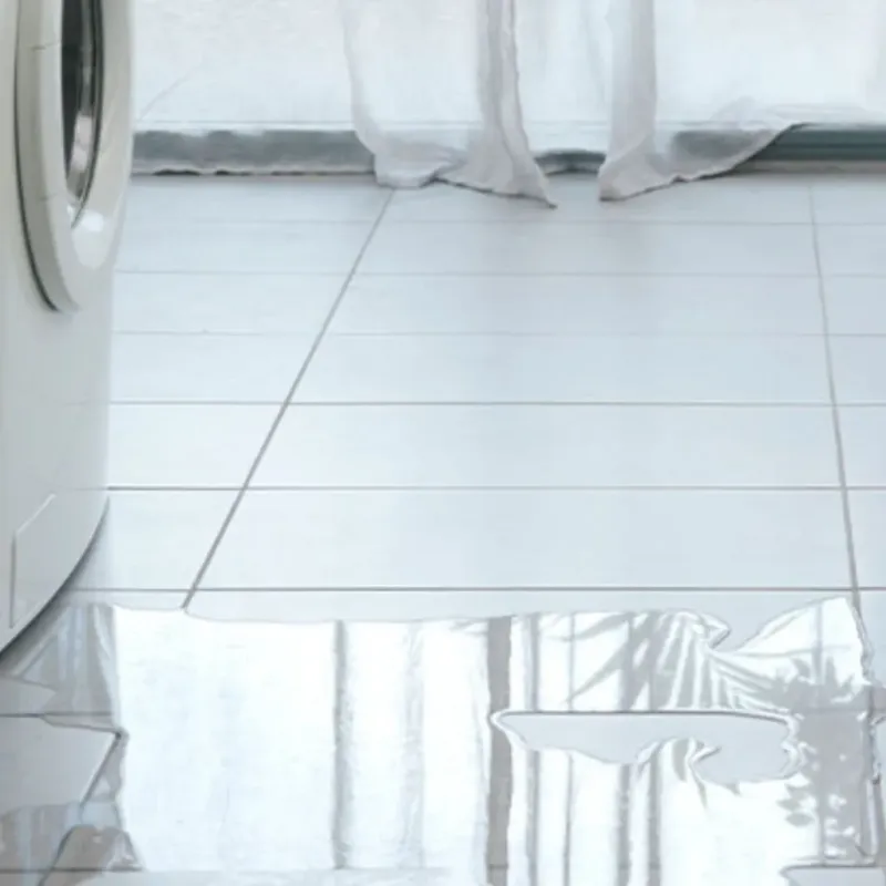 Appliance Leak Cleanup in Wayne County, NC
