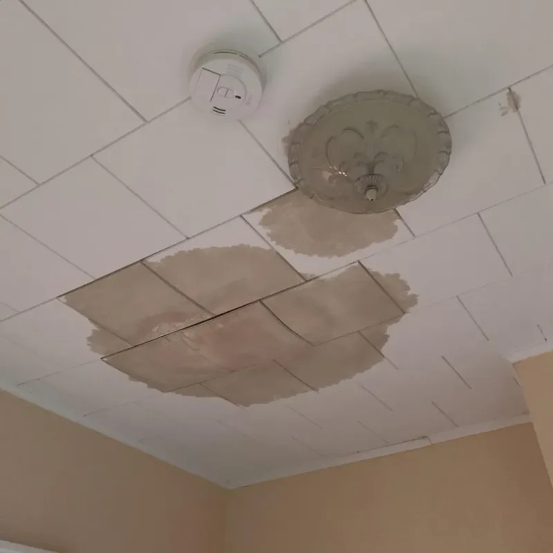 Ceiling Water Damage Repair in Wayne County, NC