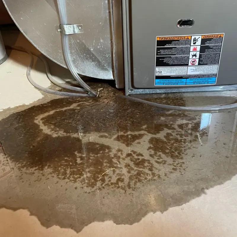 Pipe Burst and Leak Restoration in Wayne County, NC