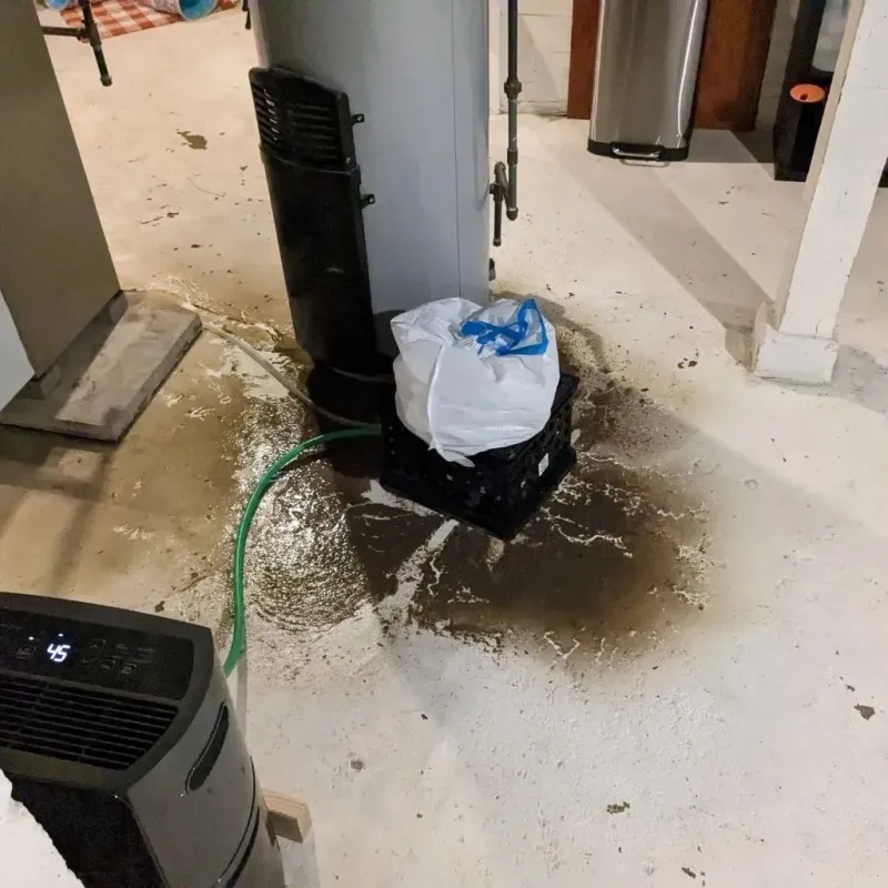 Sewage Backup Cleanup Service in Wayne County, NC